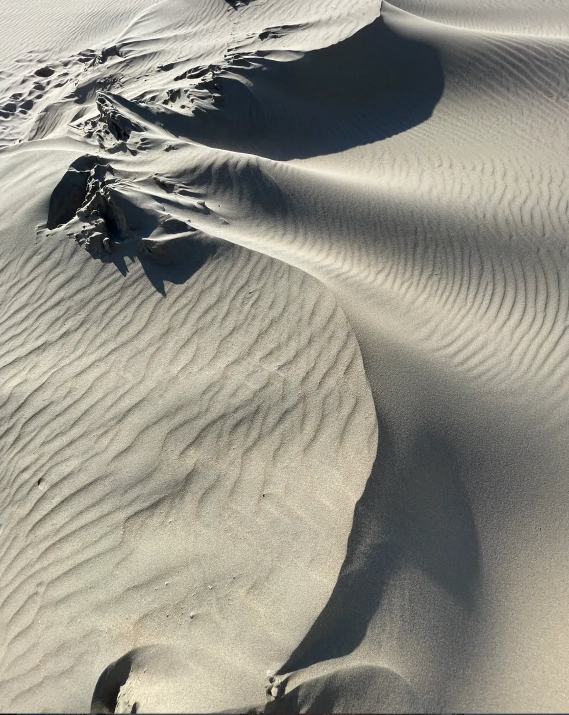 Photograph by Liselore Kamping